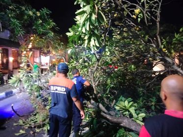 Kamboja Melintang di Tengah Jalan