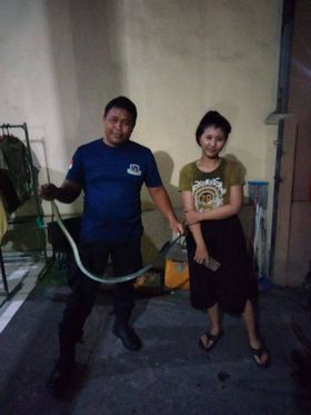 Ular ular masuk Rumah
