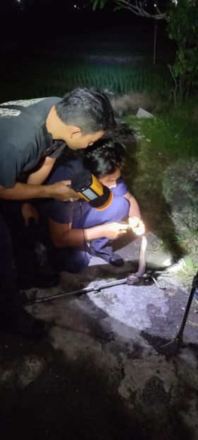 Ibu Ketut disambangi Ular