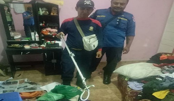 Penemuan Ular di Jalan Mekar Pemogan