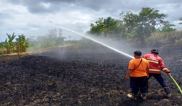 Kebakaran di Jalan Gustiwa Peguyangan