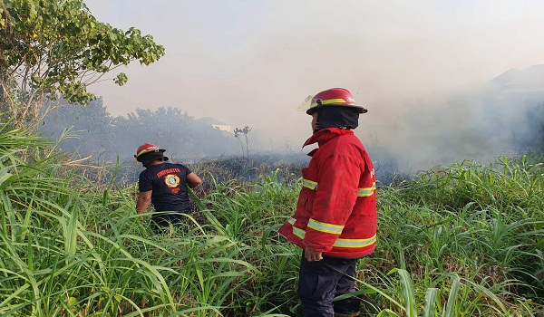 Kebakaran di Jalan Paku Sari