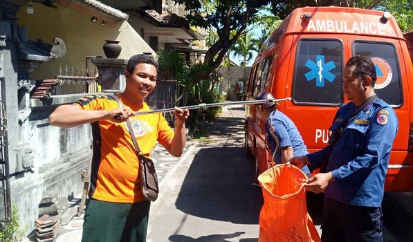 Penemuan Ular di Jalan Tukad Batu Agung
