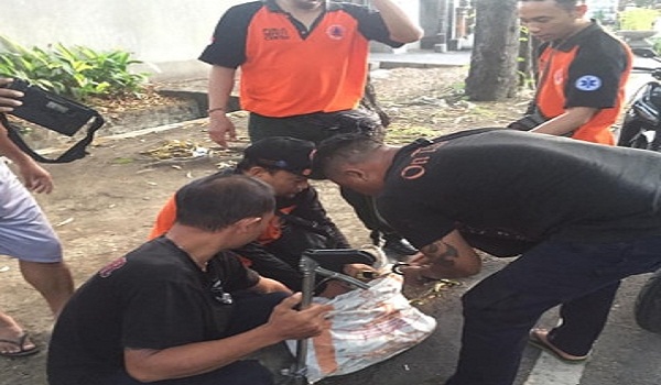 Penemuan Ular di Jalan Cok Agung Tresna