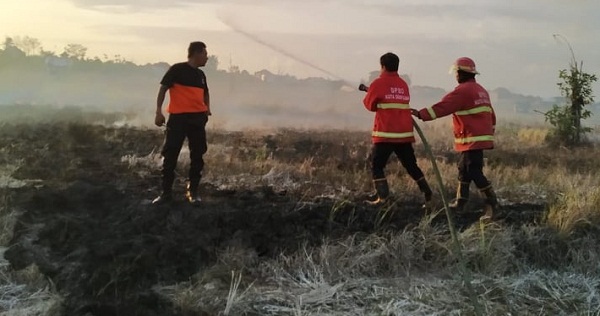 Kebakaran Tumpukan Jerami di Jalan Padma Penatih