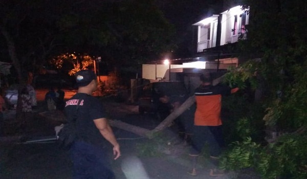 Pohon Tumbang di Jalan Kusuma Bangsa
