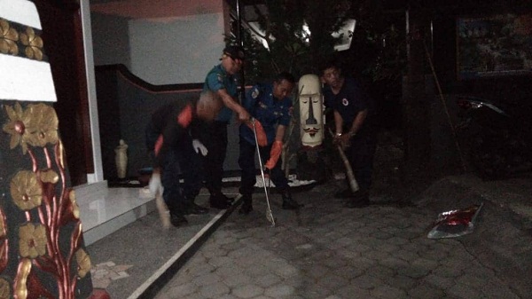 Penemuan Ular di Jalan Anyelir