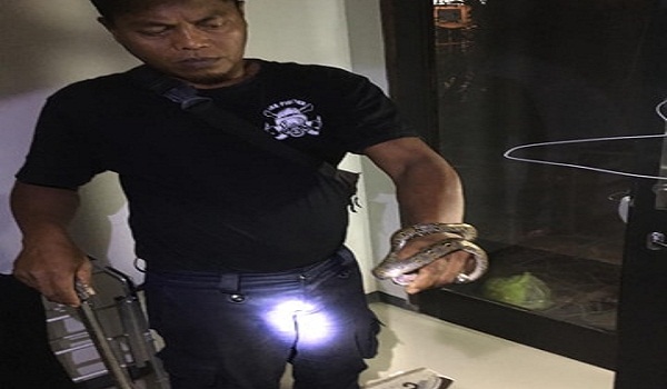 Penemuan Ular di Jalan Kerta Bedulu Sidakarya