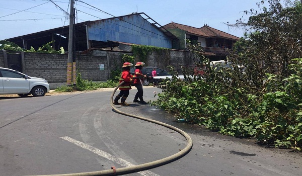 Kebakaran di Jalan Gunung Himalaya