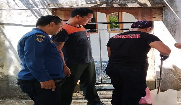 Penemuan Ular di Jalan Kerta Mulia Sidakarya