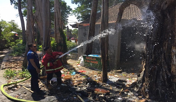 Kebakaran Pohon di Setre Waribang Kesiman