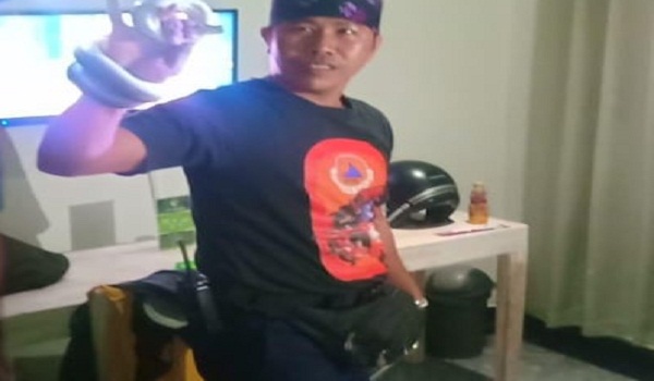 Penemuan Ular di Jalan Pura Demak