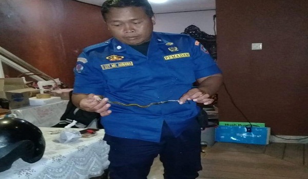 Penemuan Ular di Jalan Danau Tempe