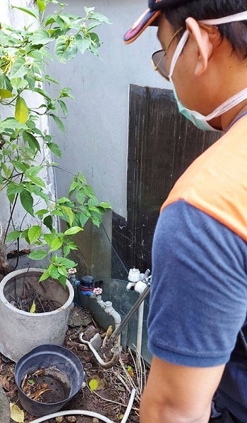 Penemuan Ular di Jalan Gunung Tangkupan Perahu Padangsambian 