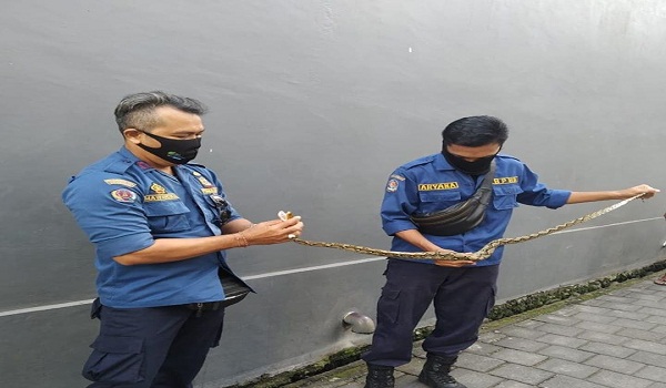 Penemuan Ular di Jalan Imam Bonjol